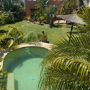 house-near-conil-with-a-tropical-garden-and-pool.hotelsincadiz.net/